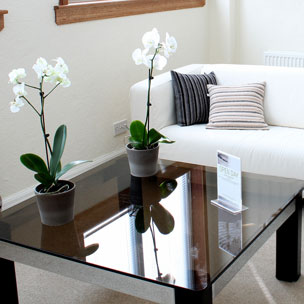 Finkbine Family Dentistry | Office
