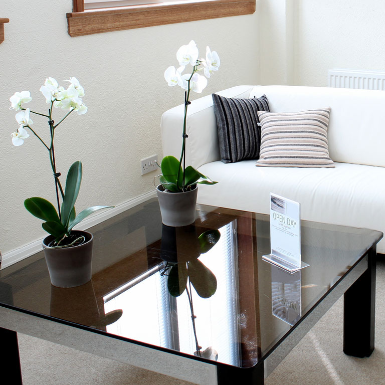 Finkbine Family Dentistry | Office